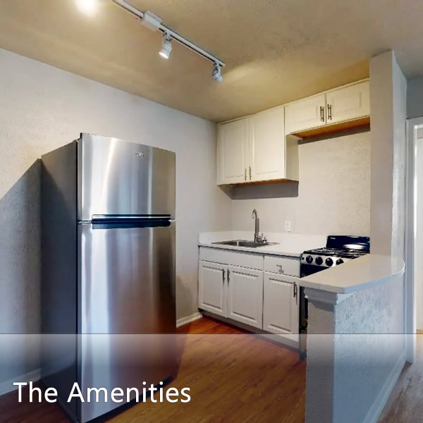 Features & Amenities