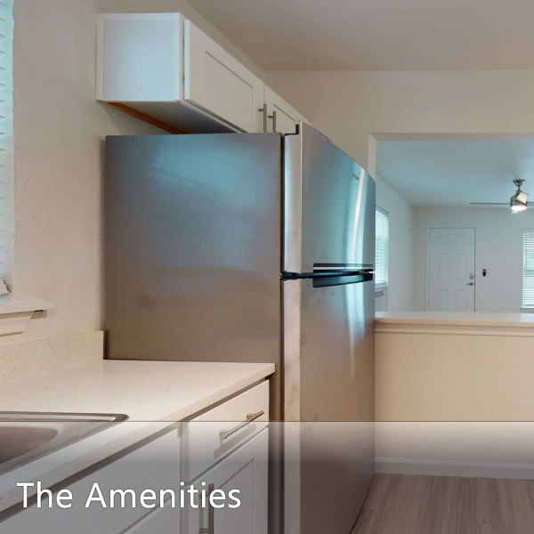 Features & Amenities