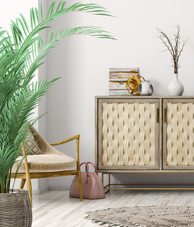 Visit Our Community Today!