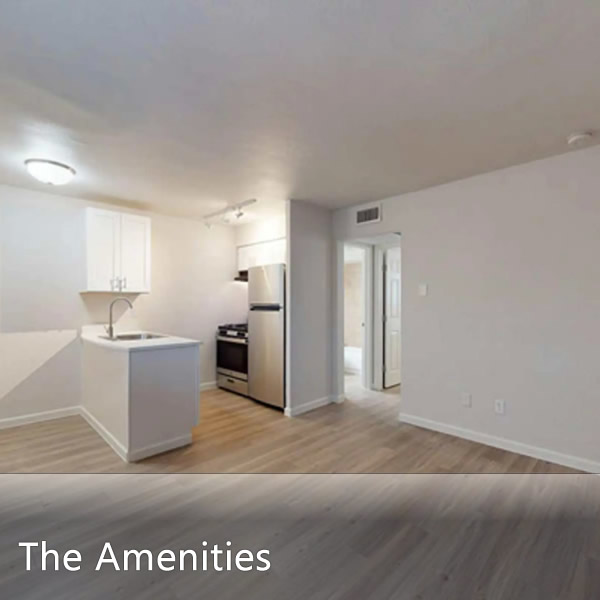 Features & Amenities